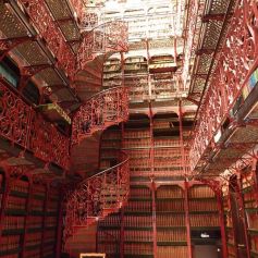 Библиотеката на Холандския парламент пази всички казани и написани думи в Парламента.